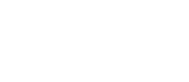 whyfi logo white